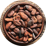COCOA