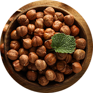 HAZELNUT