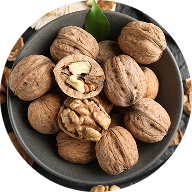WALNUT
