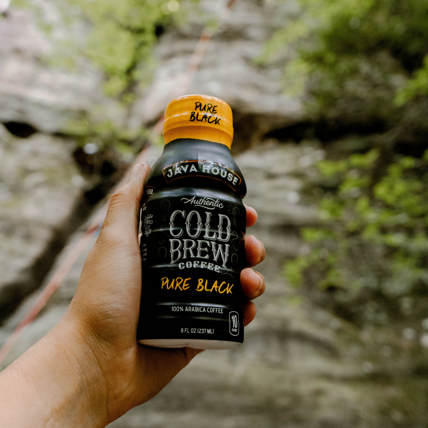 Cold Brew 8oz Bottles